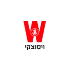 ויסוצקי